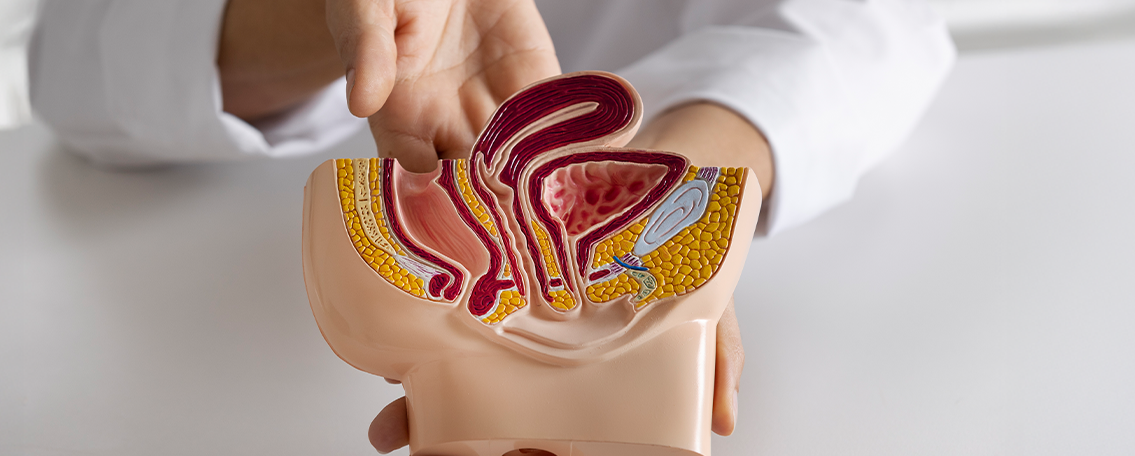 HoLEP Laser-Prostataoperation