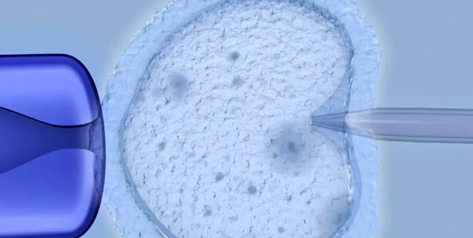 TESE and Testicular Biopsy