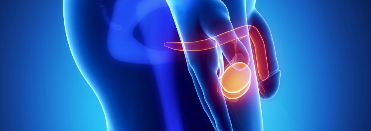 Потънал Пенис