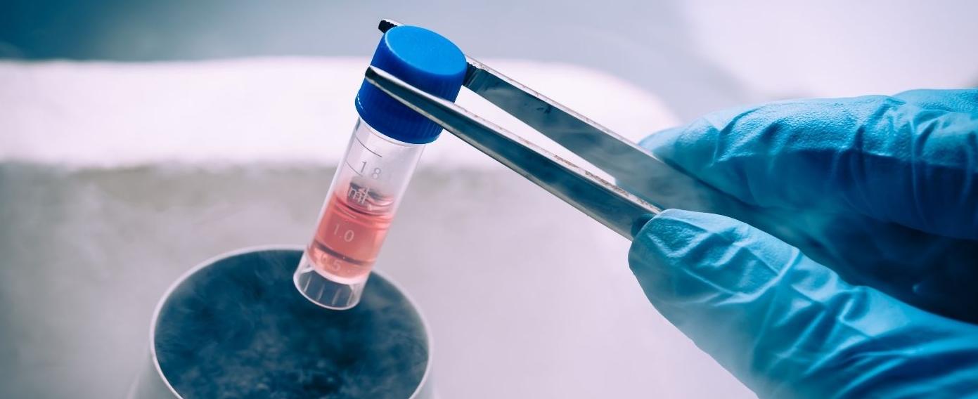 Терапия с стволови клетки